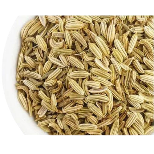 Dry Fennel Seeds