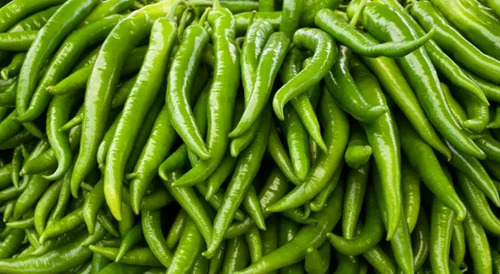 Fresh Green Chilli