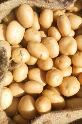 Fresh Potato - Cultivation Type: Common