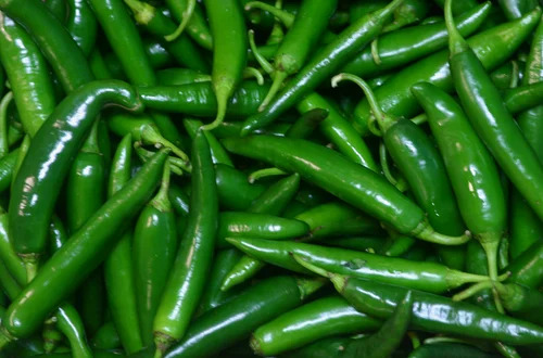 Green Chilli