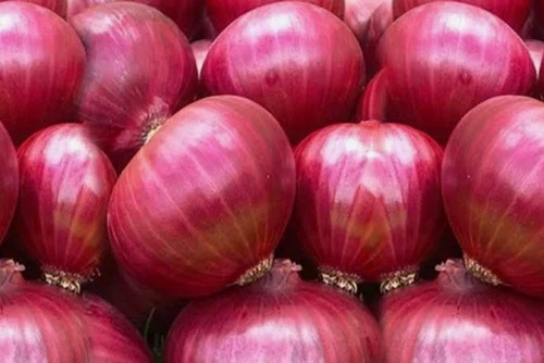 Nashik Red Onion