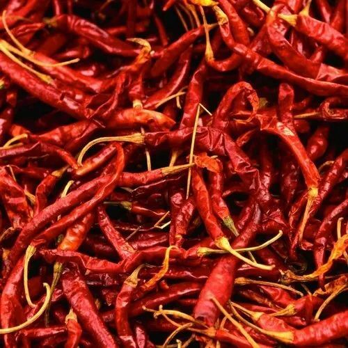 dry red chilli