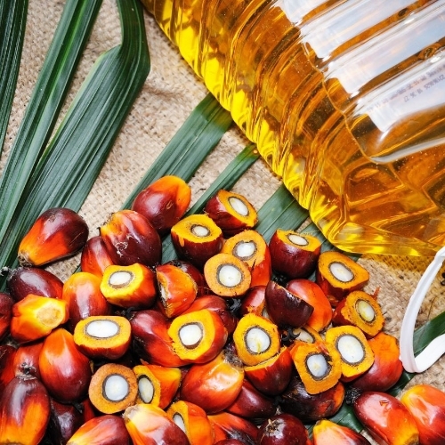 Palm Oil 
