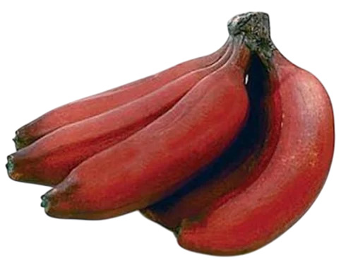 Sevazhai Red Banana