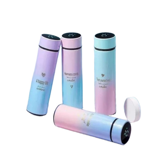 Stainless Steel Temperature Water Bottle