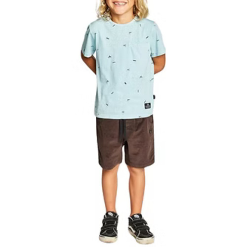 Boys Round Neck Printed Shorts Set