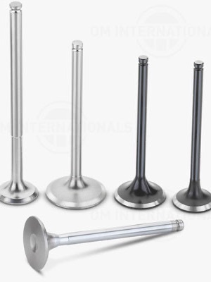 Engine Valves