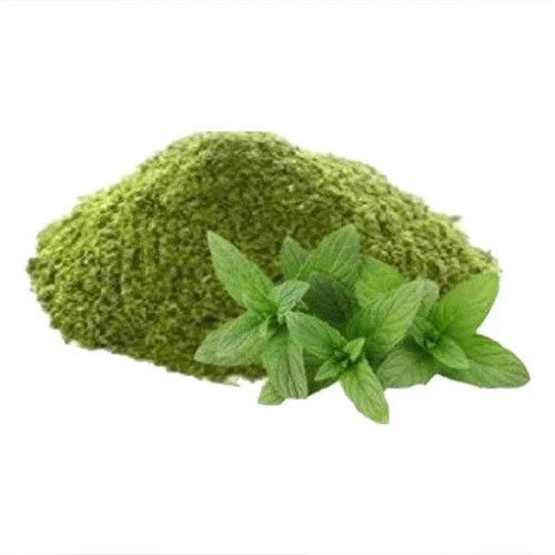 Premium Quality Mint Powder (Pudina Powder) - Color: Green