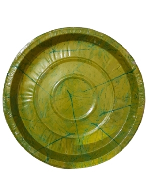 Color Paper Plate