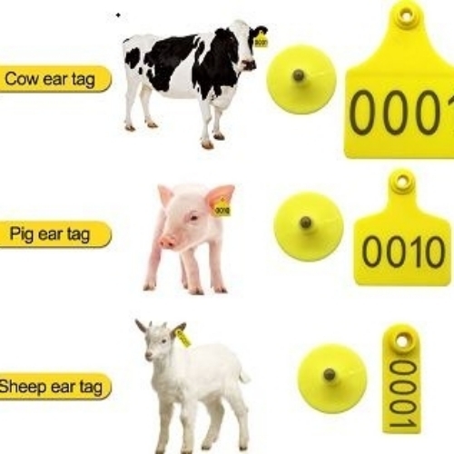 Animal Ear Tag