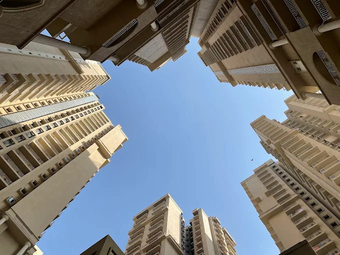 Real Estate Services