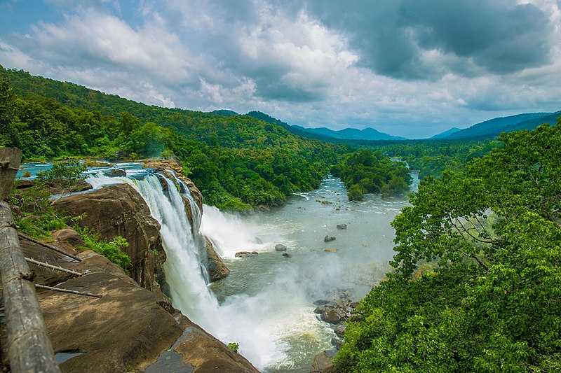 Wayanad Tour Services