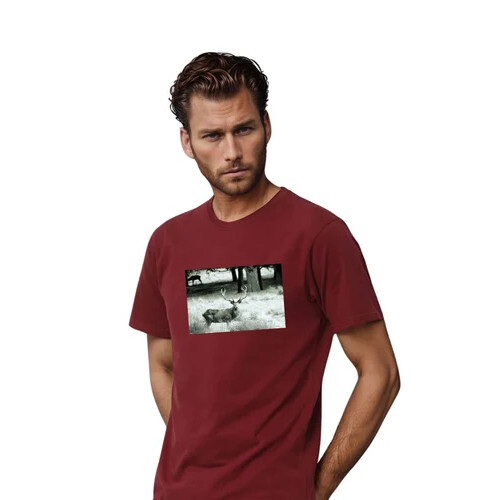 Maroon Color Printed Men Typography Round Neck Polyester T-Shirt