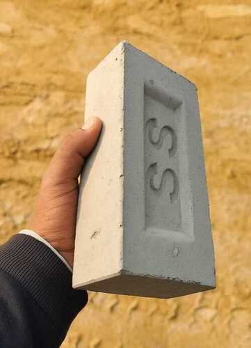 Fly ash bricks 