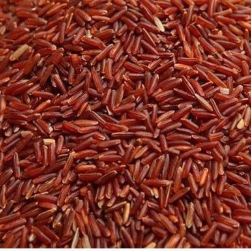 Red Rice - Cultivation Type: Common