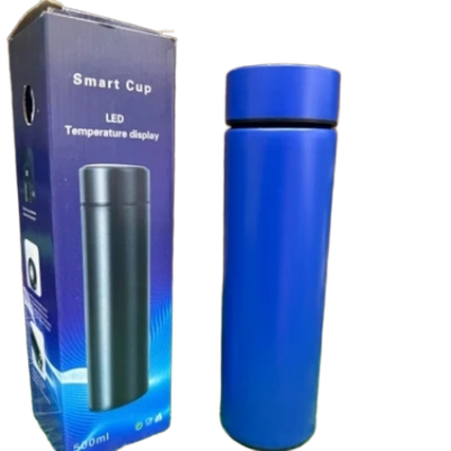Temperature Control Water Bottle 500ml