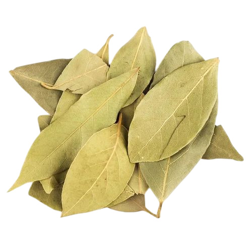 Bay Leaf