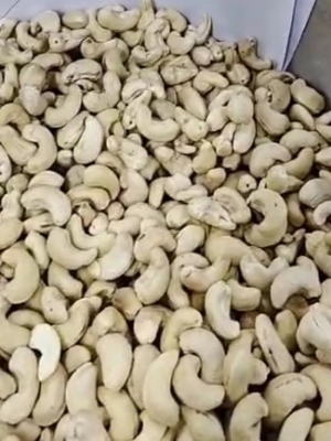 Cashew Nuts