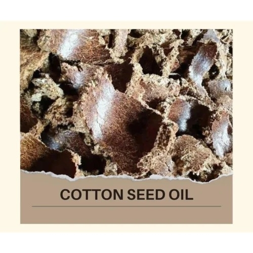 Cotton Seed Oil Cake