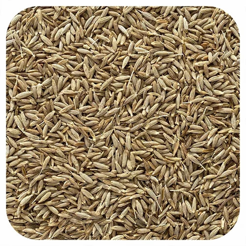 Cumin Seed