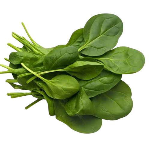 Fresh Baby Spinach