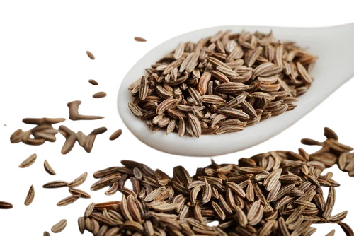 Organic Cumin Seed