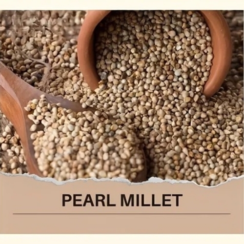 Organic Pearl Millet