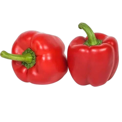 Red Capsicum
