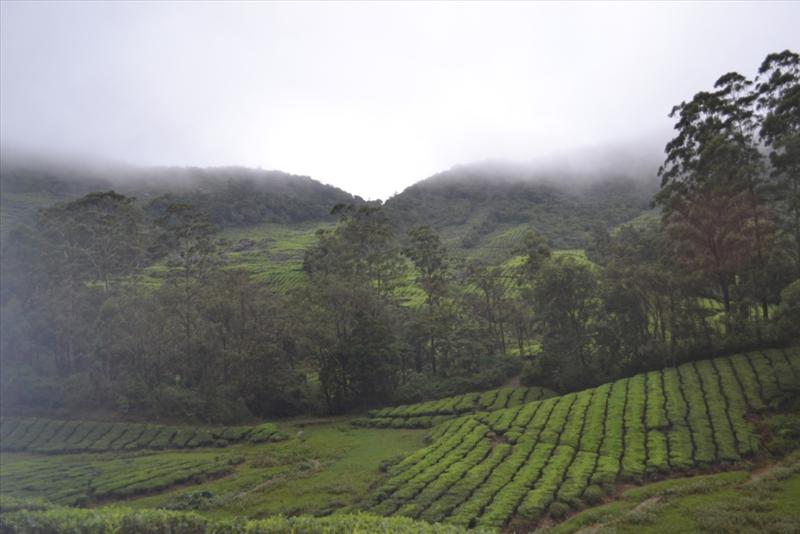 Awesome Madurai Megamalai Theni Tour Package