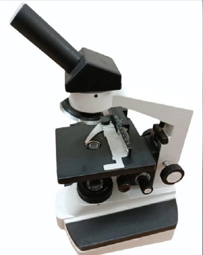Compound Light Microscope