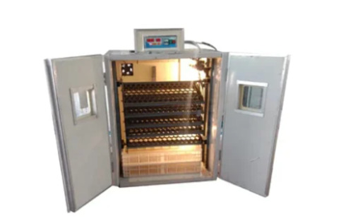 Egg Incubator 300 Capacity