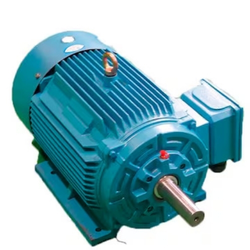 Electric Induction Motor