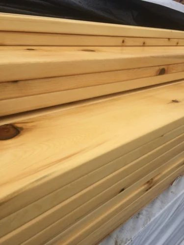Yellow Cedar Stk