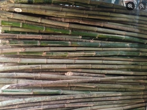 Bamboo Poles