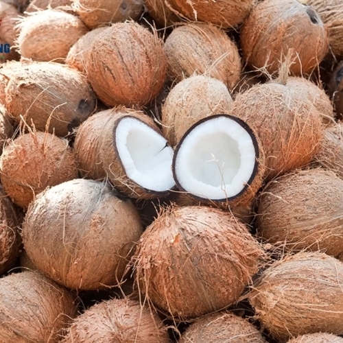 Dry Coconut