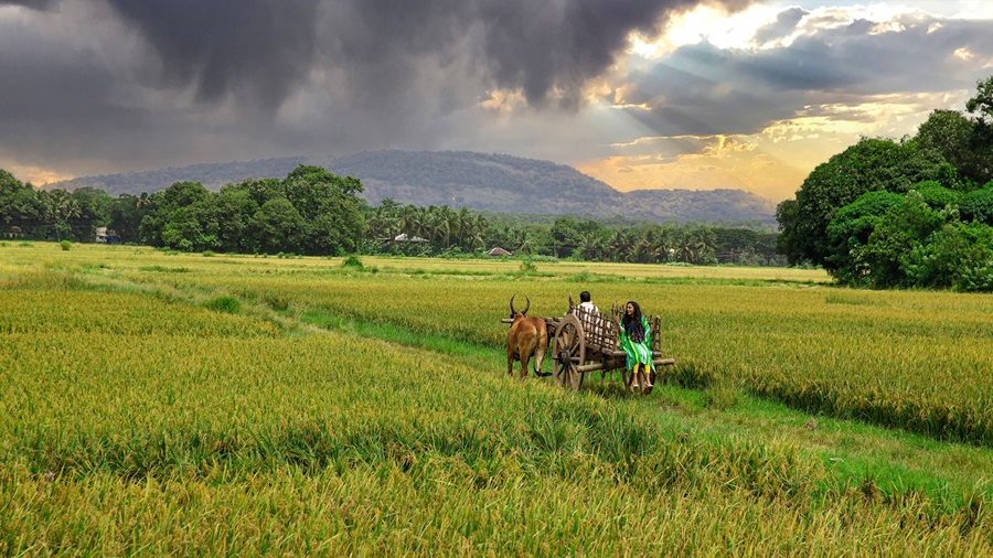 Exclusive Pathanamthitta Tour Package 1n/2d 2 Days 1 Country 2 Cities