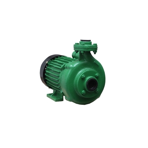 2 Hp Monoblock Pumps