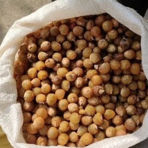 Natural Soap Nuts