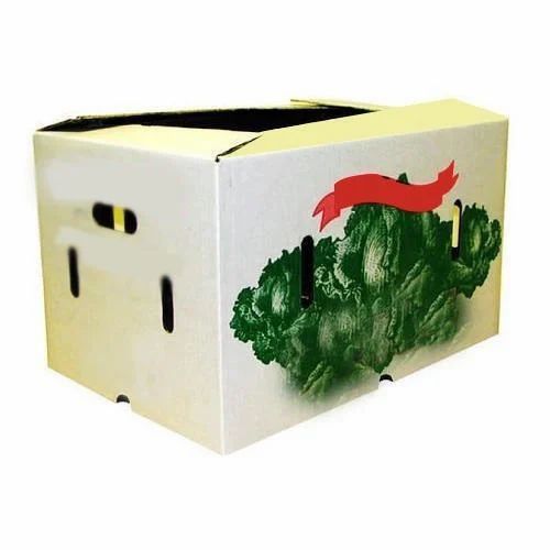 Printed Corrugated Box 