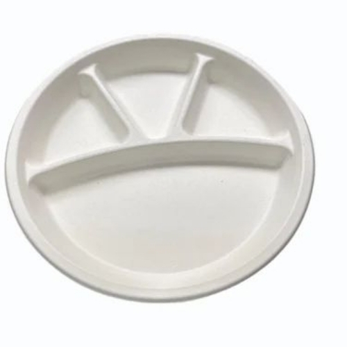 bagasse disposable paper plate