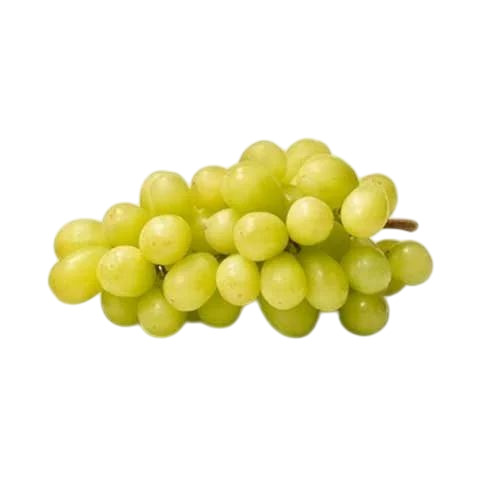 Fresh Grapes By Green Rich International