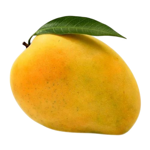Fresh Mango