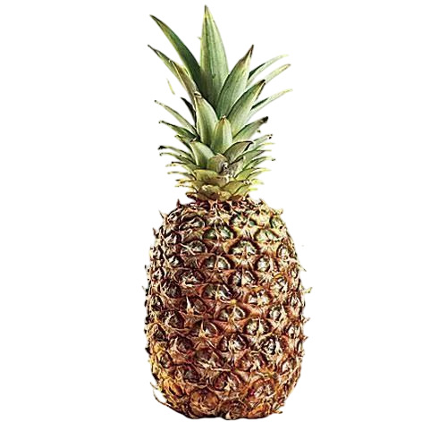 Fresh Pineapple