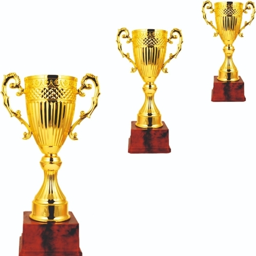 Trophy Cup