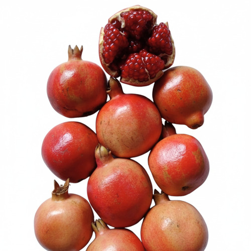 Fresh Pomegranate