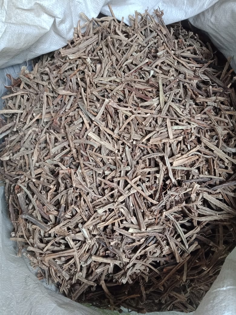 Pirandai Cissus Quadrangularis