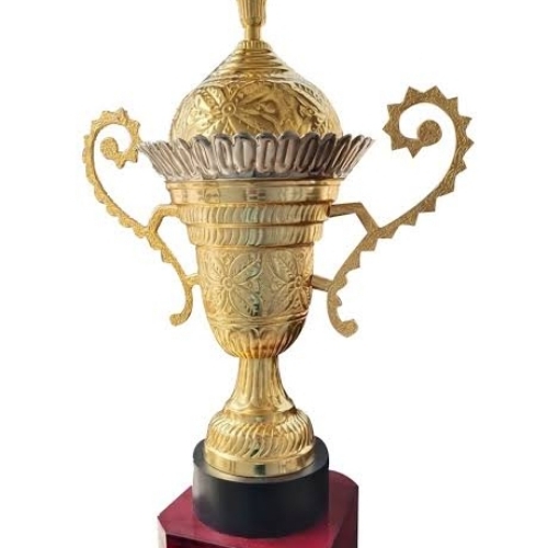 Sports Trophy