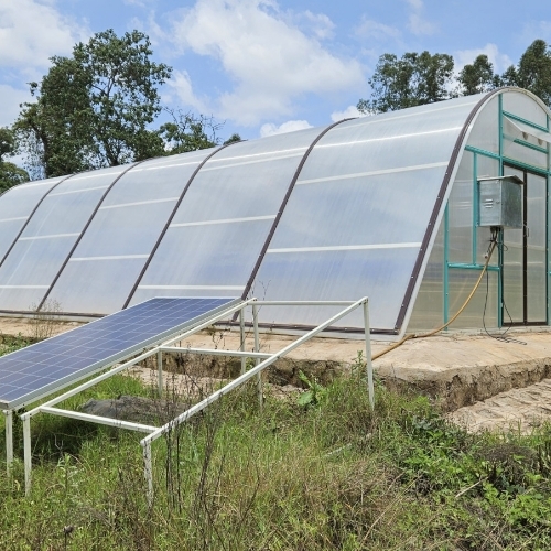 Solar dryer