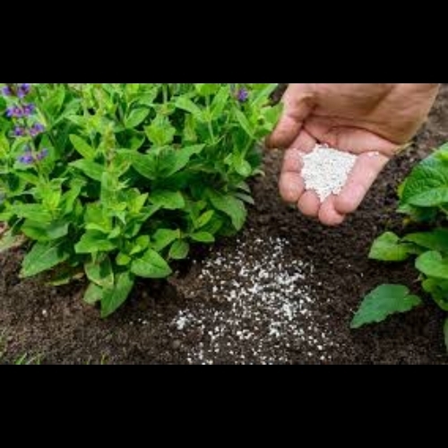 Fertilizer