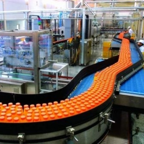 Fruit Processing Machinery